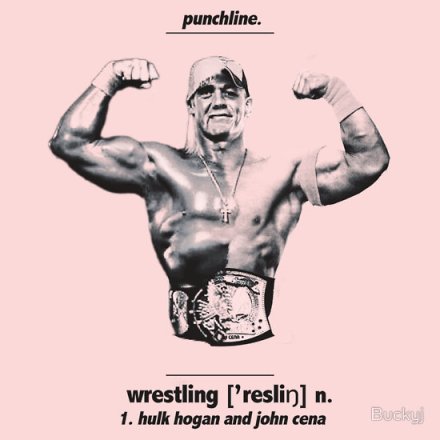 3MB_BuckyJ_HoganCena