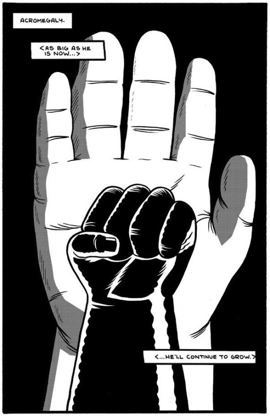 3MB_BoxBrown_AndreTheGiant_001