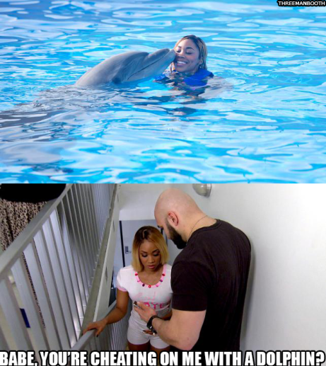 CameronVinnieDolphin_3MB