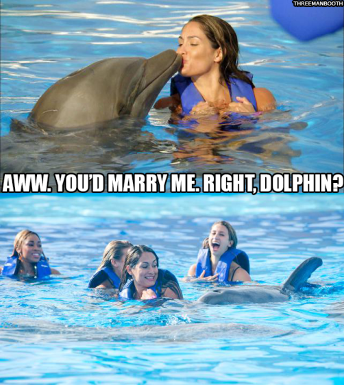 NikkiDolphin_3MB