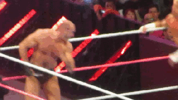 Ziggler_Fameasser_003