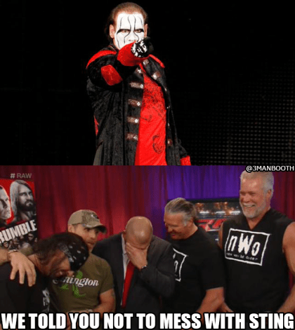Sting_TripleH_nWo_3MB