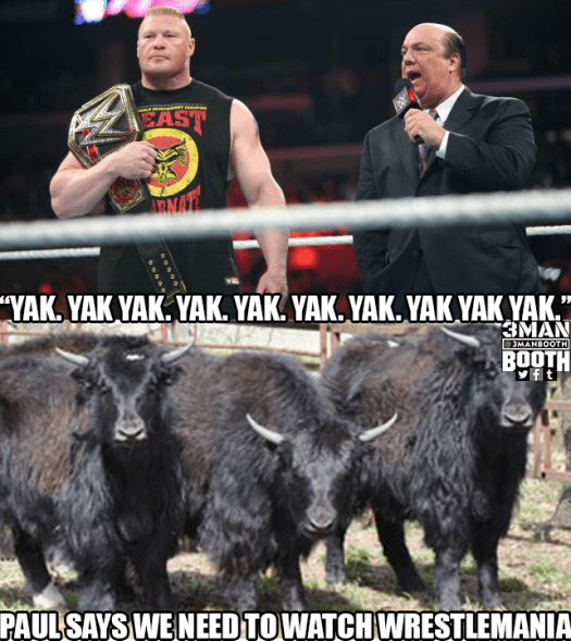 Heyman_Yak_3MB