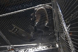 3MB_Buzzfeed_FallofMankind03